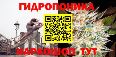 гидропоника Ливны