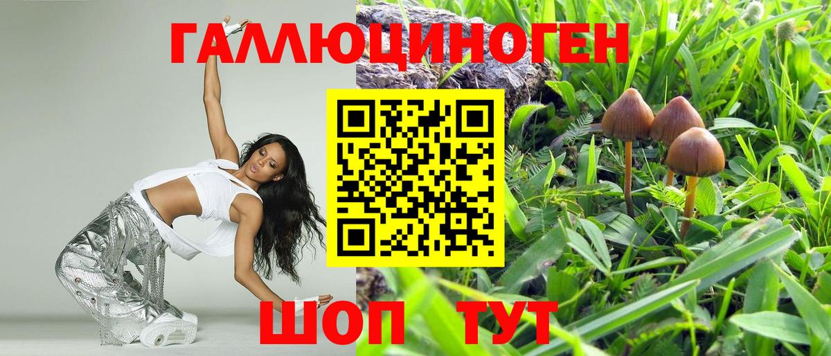 купить закладку  Вход с VPN  Иваново  Галлюциногенные грибы прущие грибы 