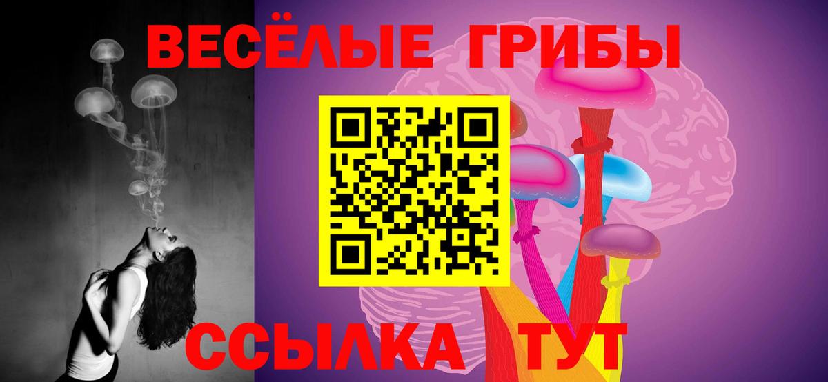 Галлюциногенные грибы Psilocybe Иваново